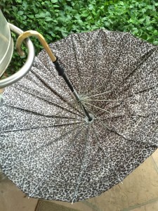 Discarded umbrella